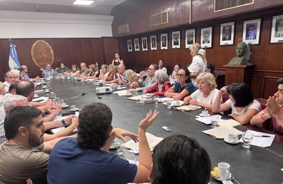 Pagani presidió una sesión clave del Consejo Superior