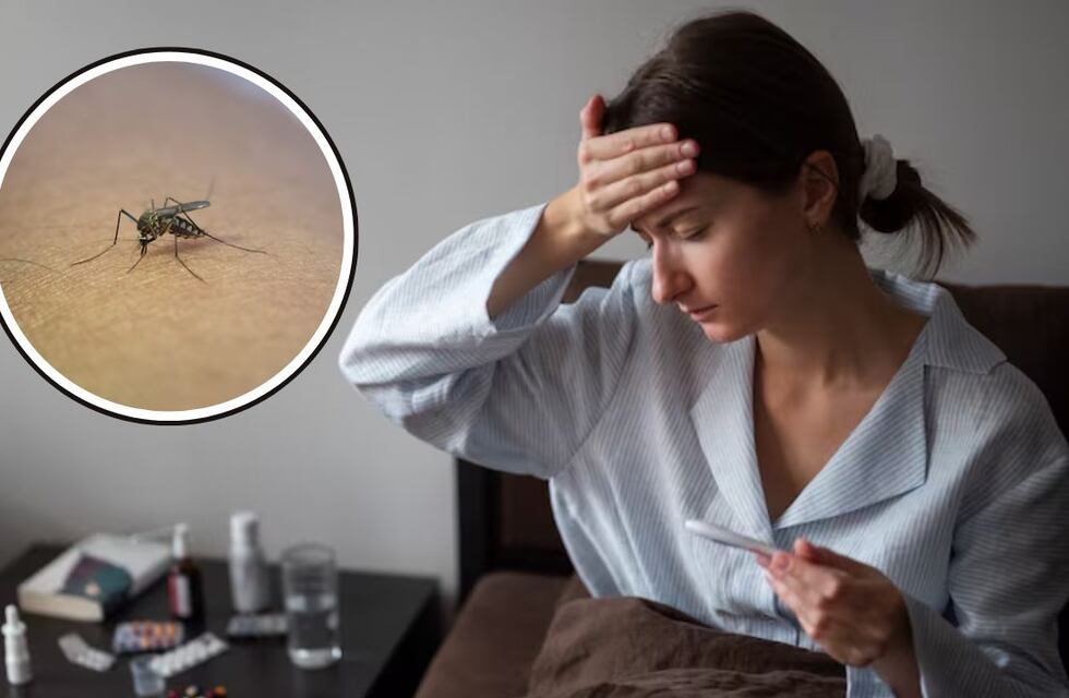 Ivermectrina contra el Dengue: ¿Por qué no es un tratamiento recomendado?