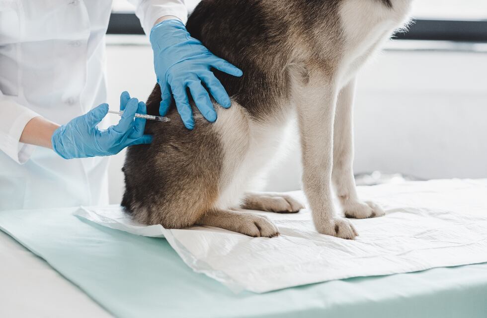 Sin quirófano móvil hasta nuevo aviso