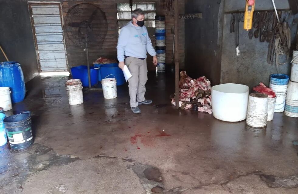 Allanaron cuatro establecimientos sospechados de faena clandestina en Córdoba