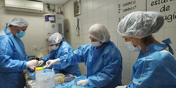 El personal de Salud Animal se capacitó en Zoonosis de la localidad Almirante Brown