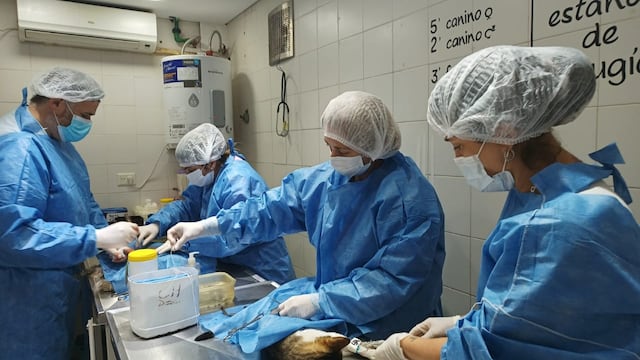 El personal de Salud Animal se capacitó en Zoonosis de la localidad Almirante Brown