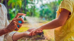 Repelente para evitar las picaduras de mosquitos en la ola de dengue que azota a Argentina./ WEB