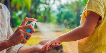 Repelente para evitar las picaduras de mosquitos en la ola de dengue que azota a Argentina./ WEB