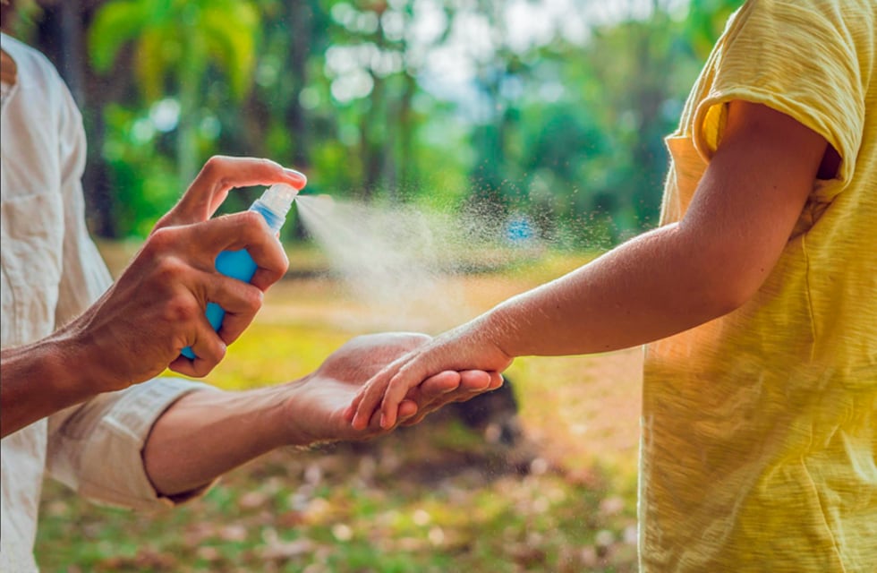 Hartos del dengue, alumnos de Córdoba crearon su propio repelente de mosquitos