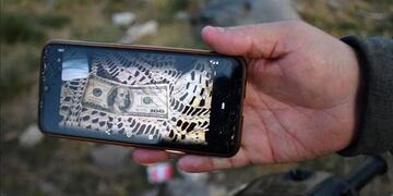 Empleados del predio y vecinos hallaron billetes estadounidenses cerca de un mueble roto.