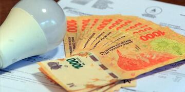 Hay tiempo hasta el 4 de agosto para inscribirse o actualizar los datos en el RASE.