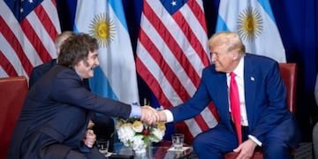Estados Unidos jugó a favor de la Argentina en el juicio por YPF. (Redes sociales Manuel Adorni)