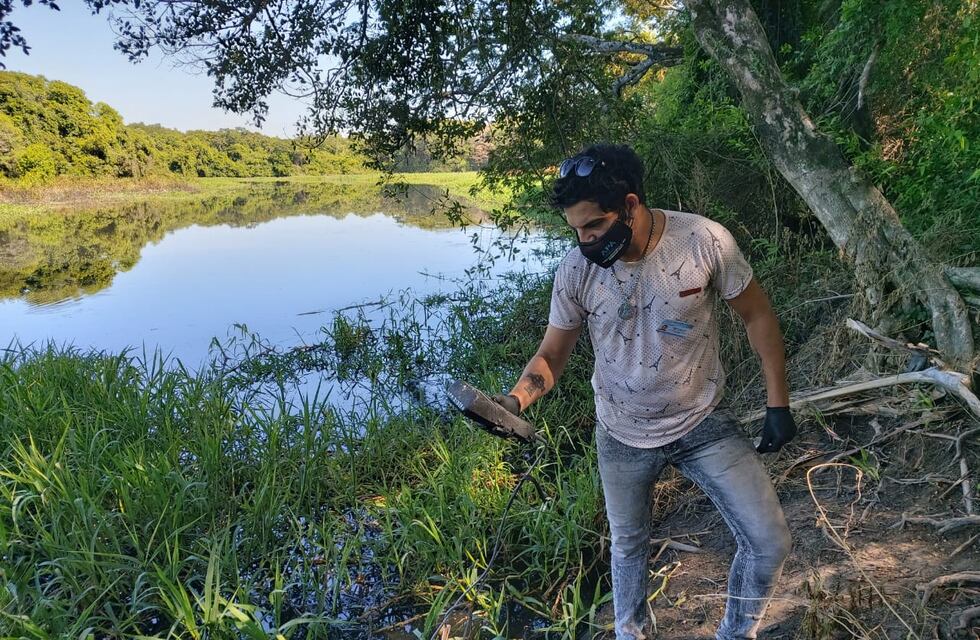 Detectan mal olor en el Río Negro por la descomposición de carrizales