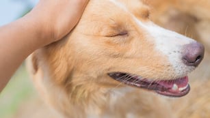 Imagen ilustrativa. Foto: Web