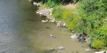 Arroyo La Campana, en La Calera, afectado por líquidos cloacales. (Gentileza)