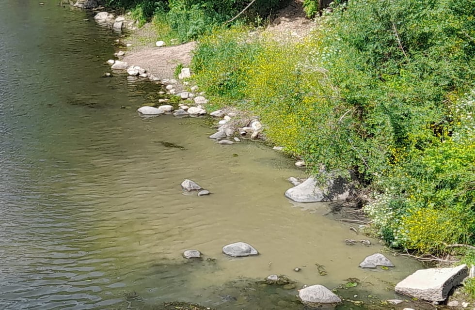 La lucha no cesa: vecinos denuncian la presencia de líquidos cloacales en un arroyo de La Calera