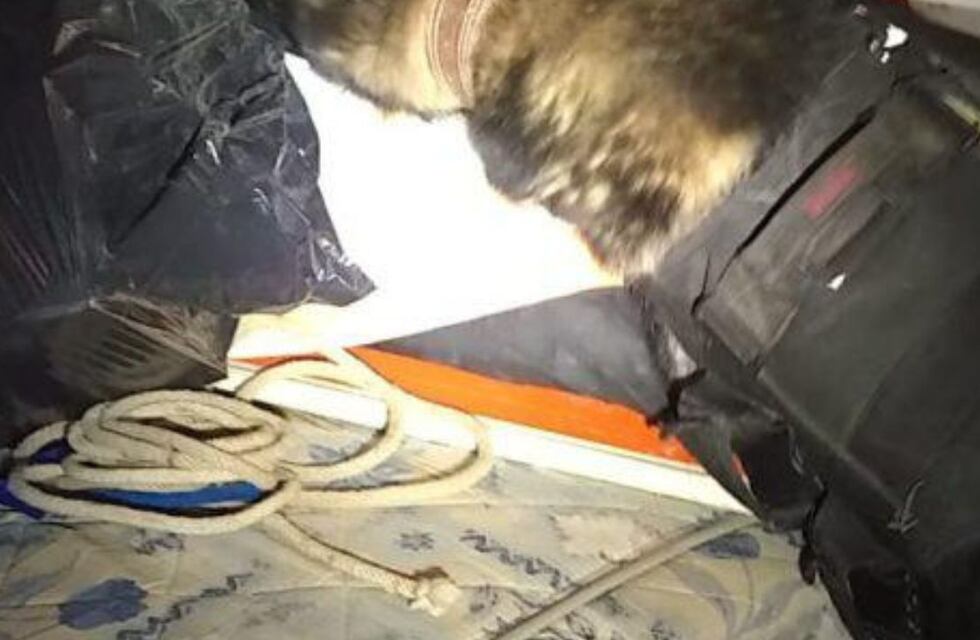 Córdoba: encontraron más de 1500 dosis de marihuana entre los colchones