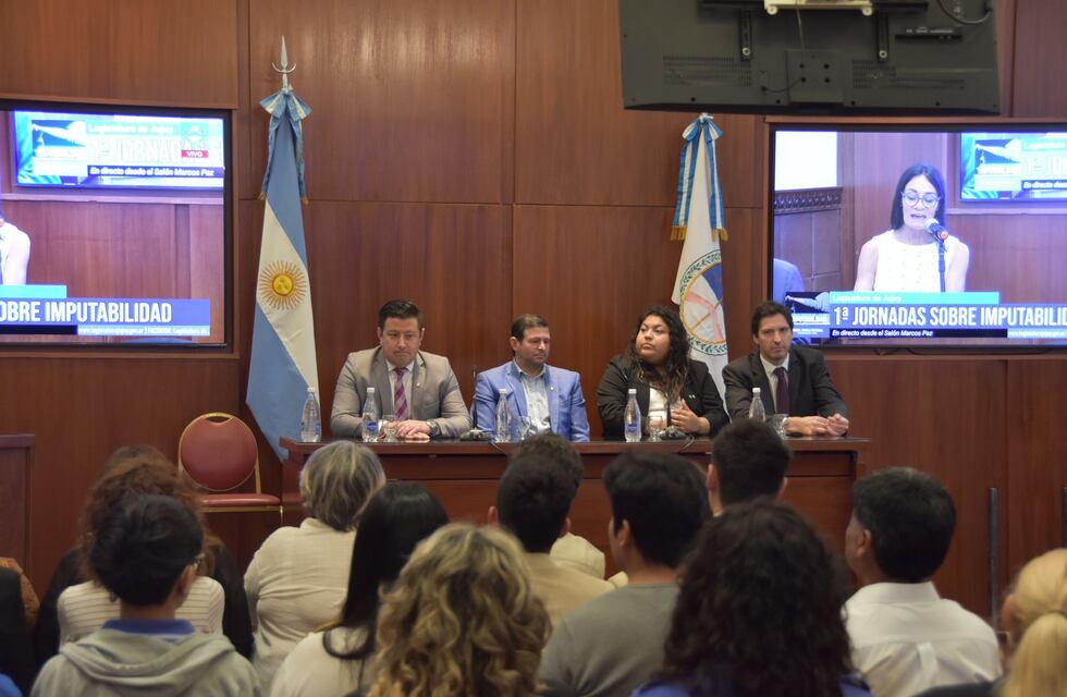 Justicia: se discute en Jujuy la edad de imputabilidad de los menores