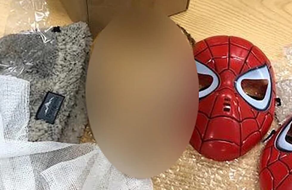 Hallazgo macabro en el correo: encontraron la cabeza momificada de un niño en uno de los paquetes con rumbo a Estados Unidos