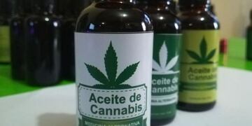 En principio, la modalidad de cursada será virtual y el único requisito (no excluyente) será contar con un título secundario.