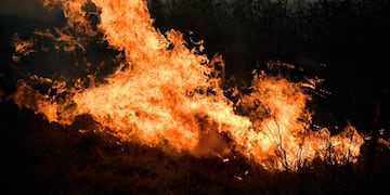 Las islas del Delta del Paraná no tienen respiro.