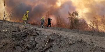 El incendio se produjo en la reserva ecológica Parque Sarmiento, en el departamento de Zonda.