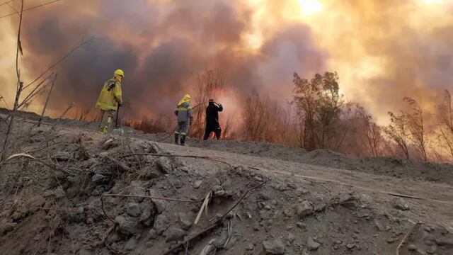 El incendio se produjo en la reserva ecológica Parque Sarmiento, en el departamento de Zonda.