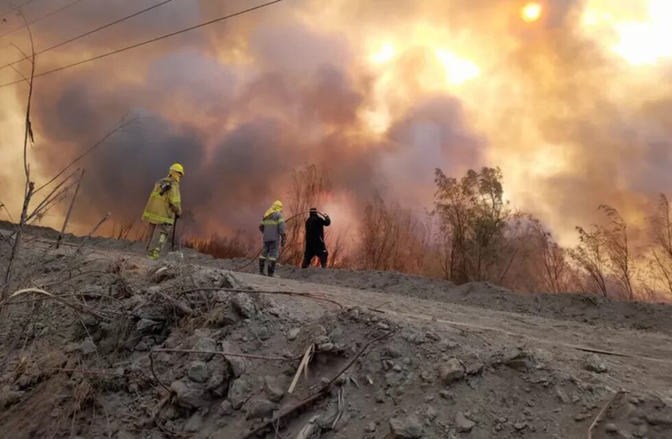 La reserva ecológica Parque Sarmiento de Zonda sufrió un incendio de grandes dimensiones