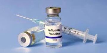 Este jueves llegan vacunas antigripales a Misiones