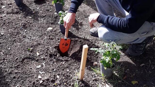 Huerta urbana, cada vez más desarrollada