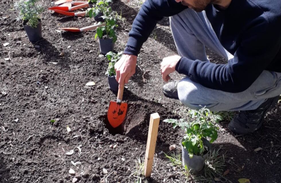 Un día para fomentar la huerta y el consumo de alimentos de estación