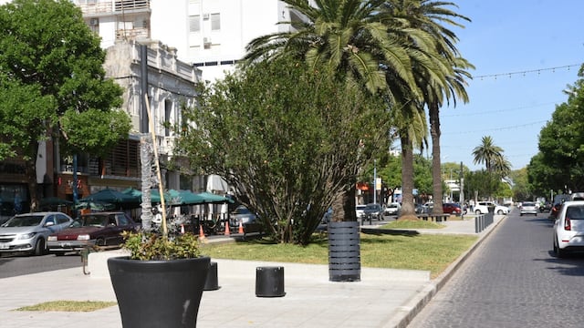 Solo faltan detalles en los canteros de Bv. Santa Fe