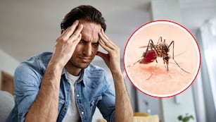 ¿Fiebre y dolor de cabeza? No ignores estos síntomas: podría ser dengue.
