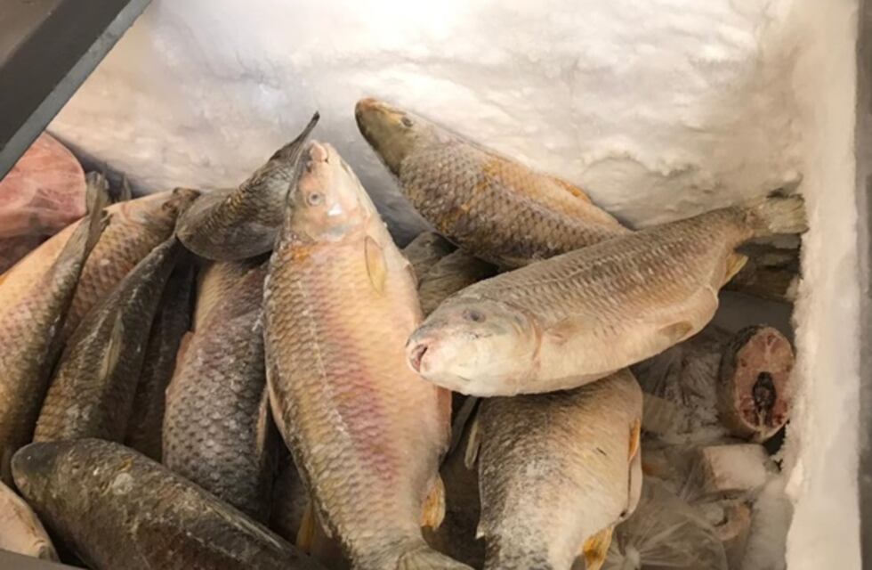 Realizaron “pescadazo” en el Congreso para visibilizar la problemática del sector