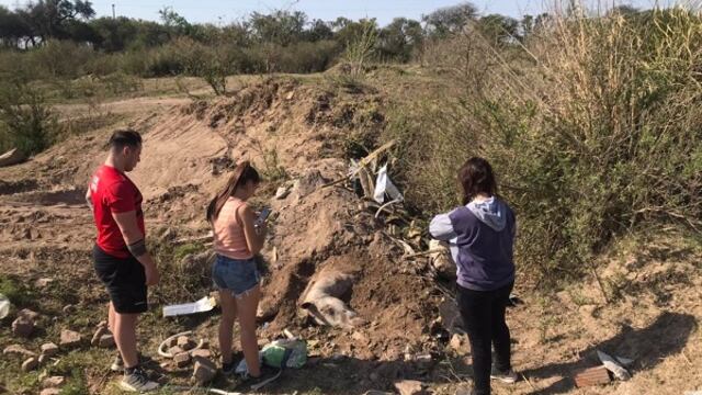 Los integrantes de la ONG encontraron al caballo semienterrado y ya muerto. (Villa María Vivo)