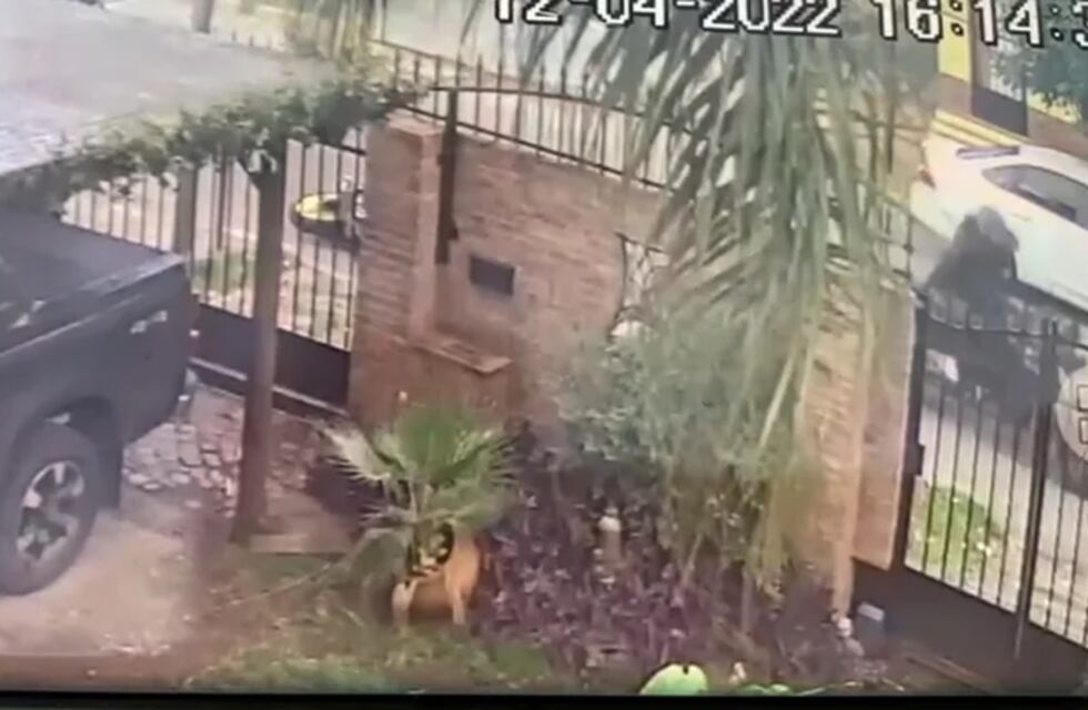 Castelar: motochorros quisieron asaltar a una pareja y un policía mató a uno de ellos de un disparo en la cabeza