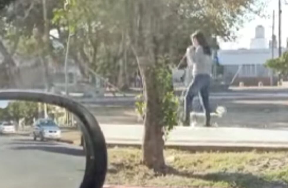 “Están raros los caniches en este barrio”: el viralazo de una cordobesa que sacó a pasear una exótica mascota