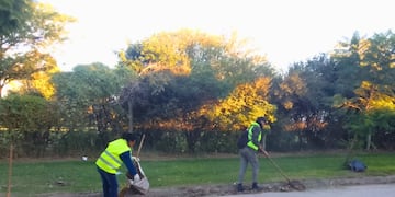 Sigue el operativo de limpieza de hojas