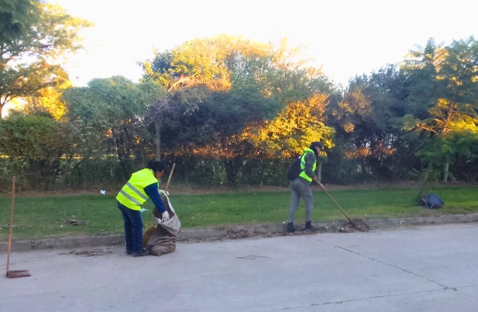 Continúan las tareas de barrido y recolección de hojas en la vía pública