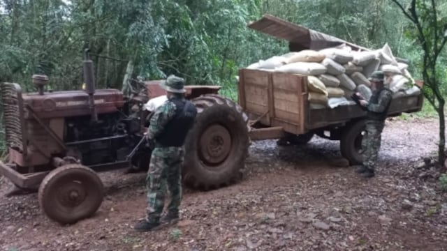 Incautan nuevo cargamento de soja sin aval en El Soberbio.