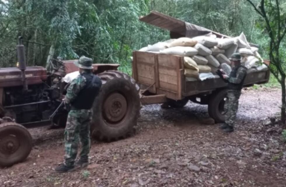 Incautan nuevo cargamento de soja sin aval en El Soberbio