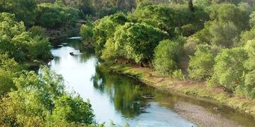 Encontraron un peculiar animal a la vera del río en Villa María.