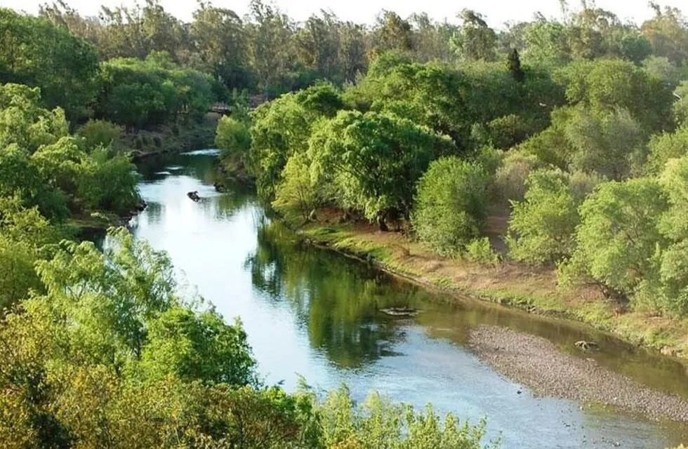 Un peculiar animal visitó el río de Villa María y los vecinos se quedaron admirados