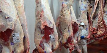 “Quien poco piensa mucho yerra”: duro comunicado de la Sociedad Rural de Azul