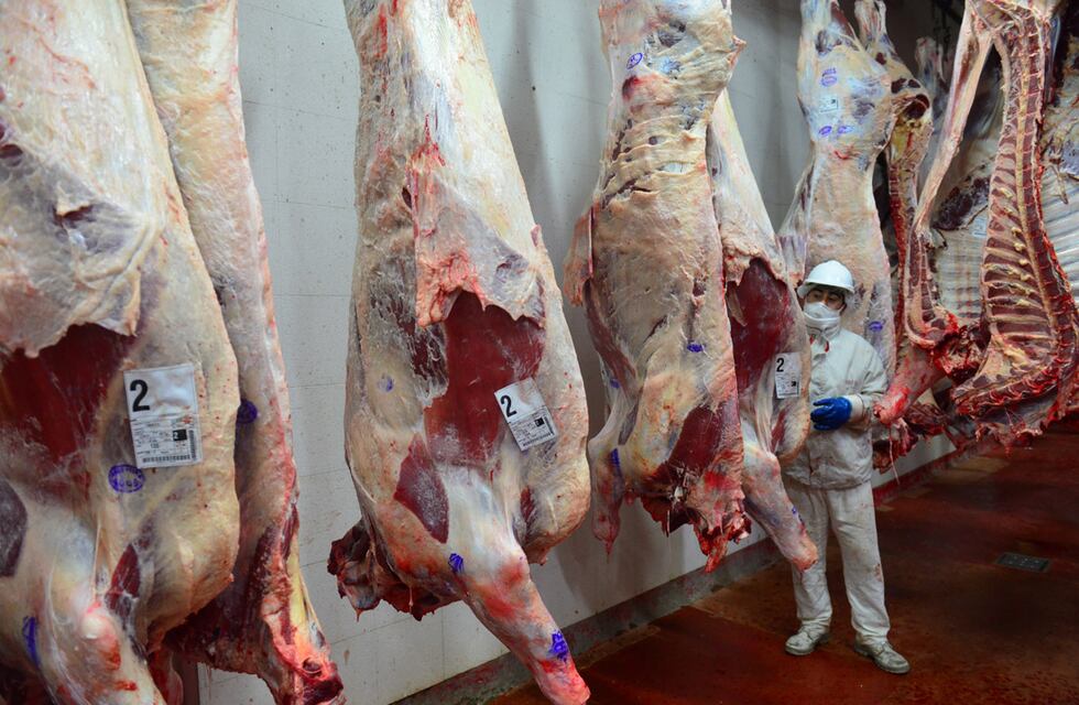 Productores Porcinos de Entre Ríos advierten que “sin exportaciones no hay salida”