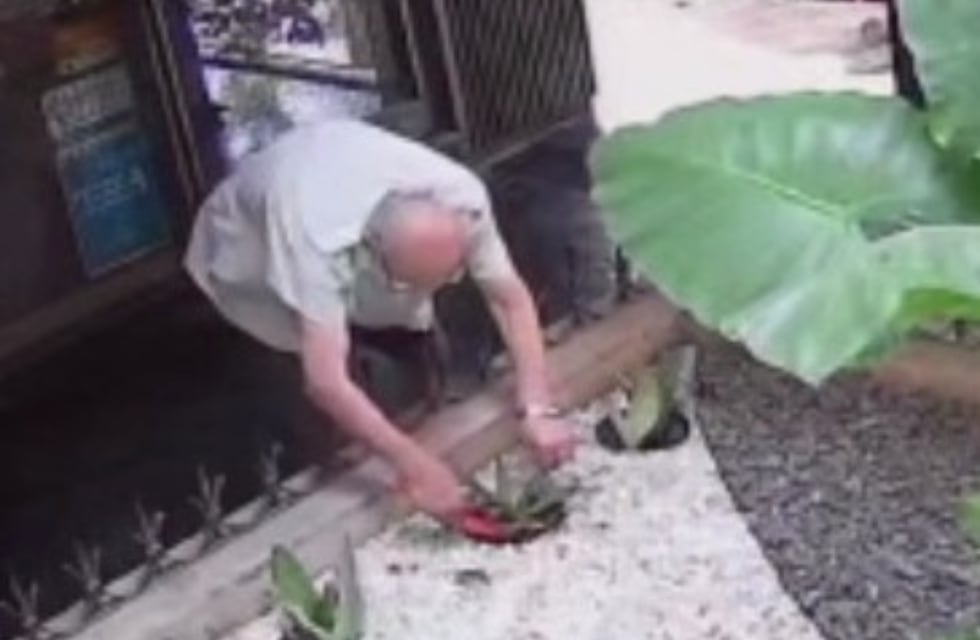 Solidaridad cordobesa: supo que a sus vecinos les robaron una planta y decidió reponerla sin contarles