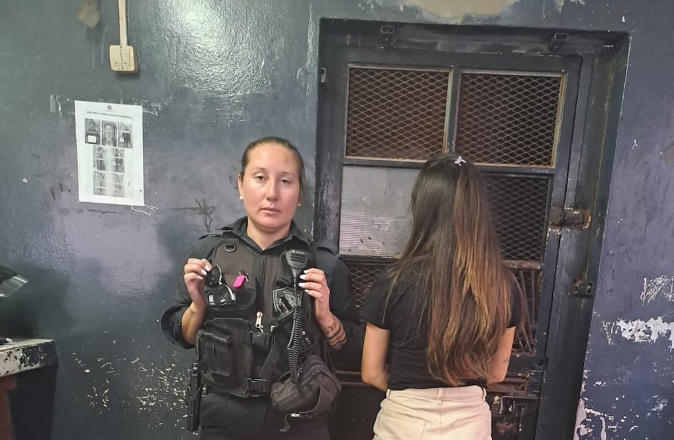 La dueña del auto y el perro muerto en Rosario fue liberada y vandalizaron el local