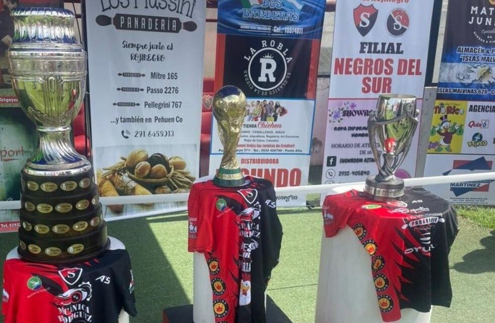 Más de 1.300 personas tienen su foto con las copas de la Selección Argentina