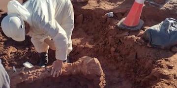 Tras las inundaciones en Neuquén, se desenterraron varios restos fósiles de dinosarios.