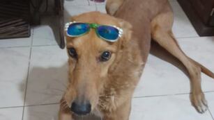 Mateo fue encontrado en un baldío en San Guillermo, Santa Fe.