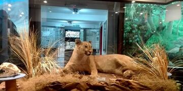 Es uno de los destinos ideales para conocer la flora y fauna de la región.