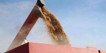 MENOS EXPORTACIONES. El agro frenó la liquidación de divisas (Archivo).