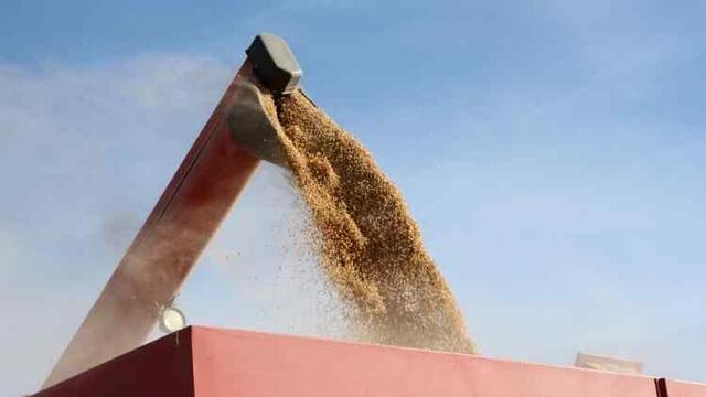 MENOS EXPORTACIONES. El agro frenó la liquidación de divisas (Archivo).