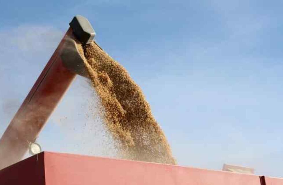 El Gobierno analiza un nuevo incremento de las retenciones a las exportaciones